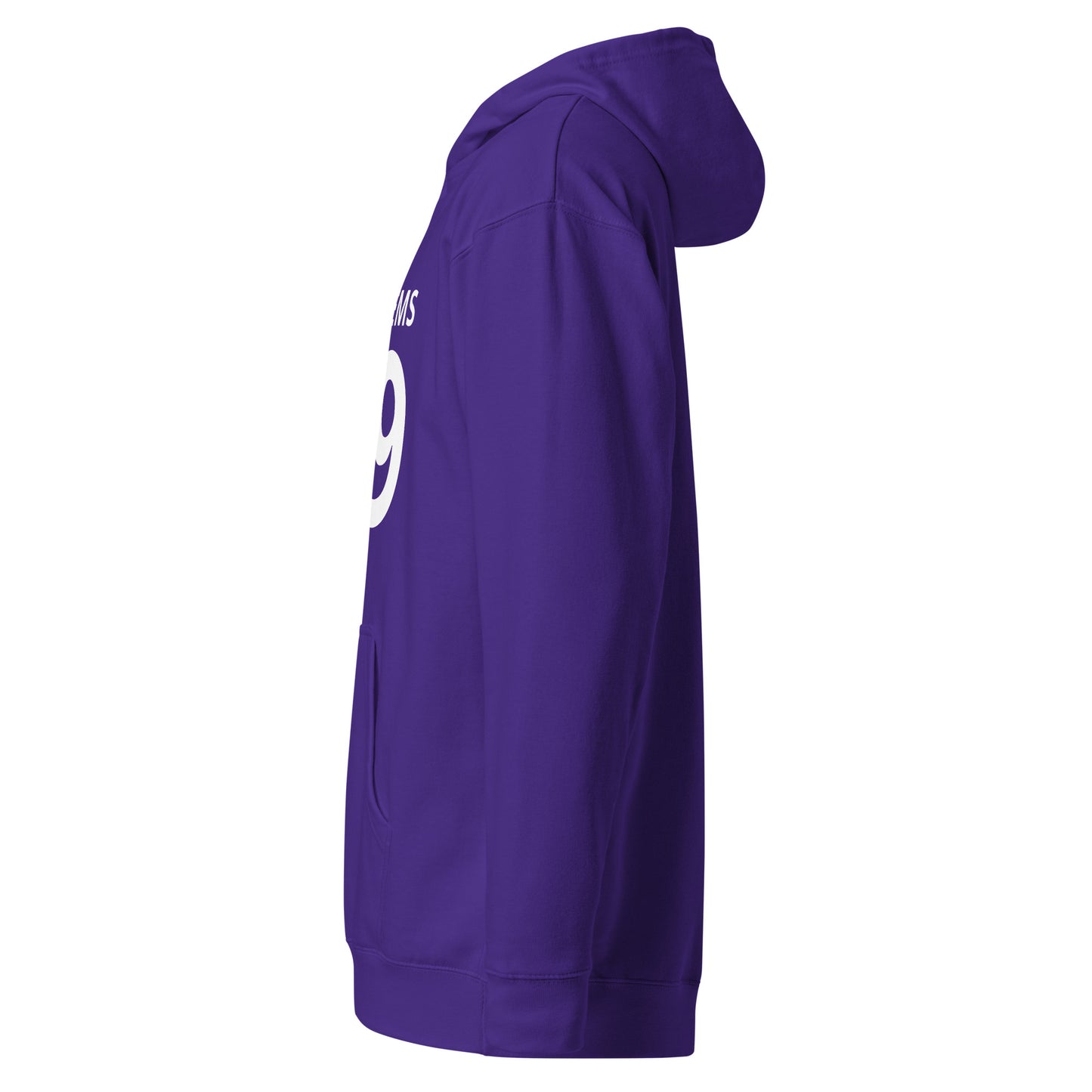 WEEDISH 99 PROBLEMS PREMIUM SOFT HOODIE